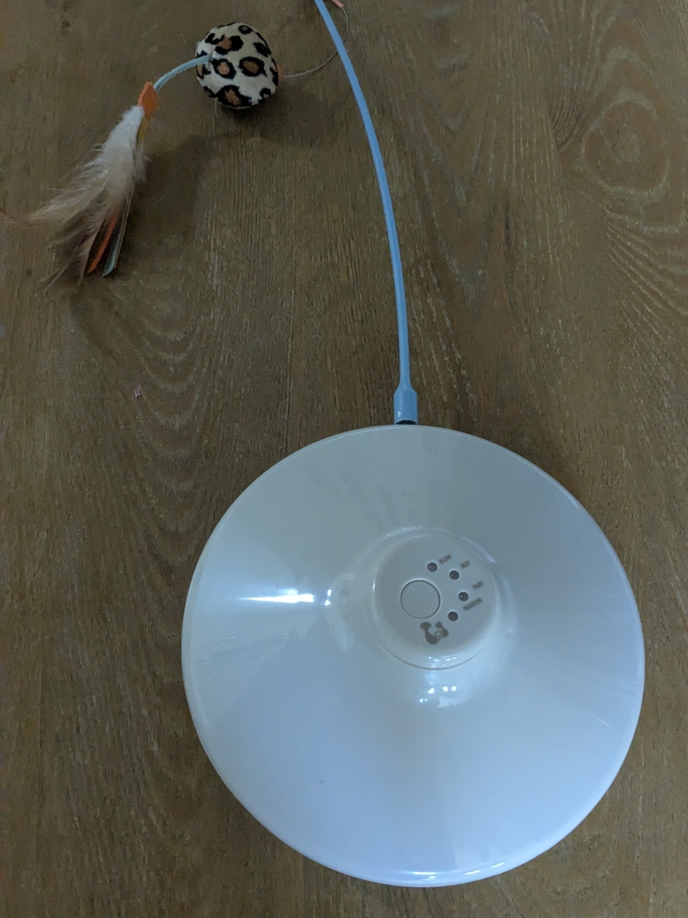Automatic Cat Teaser Toy by  - White
